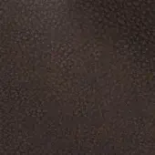 2434834 - MARRONE